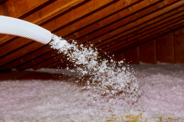 Best Insulation Maintenance and Repair in Gardnerville Ranchos, NV