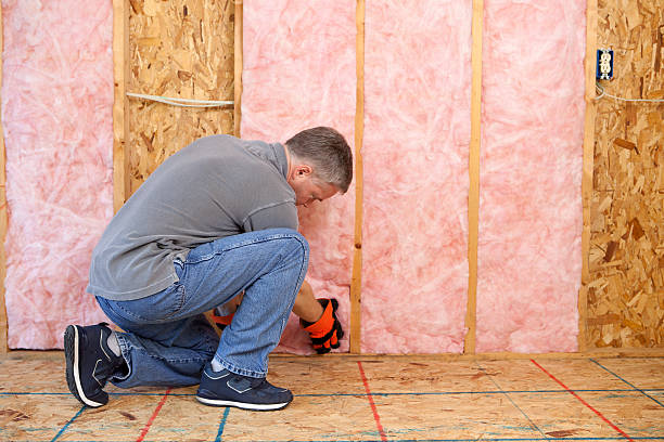 Best Types of Insulation in Gardnerville Ranchos, NV