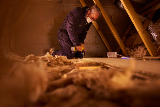 Best Insulation Installation Services in Gardnerville Ranchos, NV